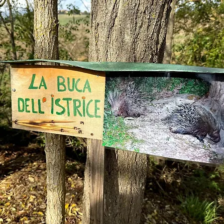 La Buca Dell'istrice Apartman *